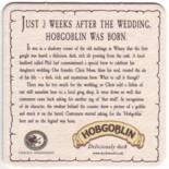 Hobgoblin UK 085